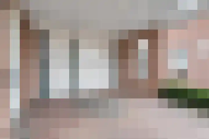 Waanderskamp 7 Dalfsen thumbnail 8