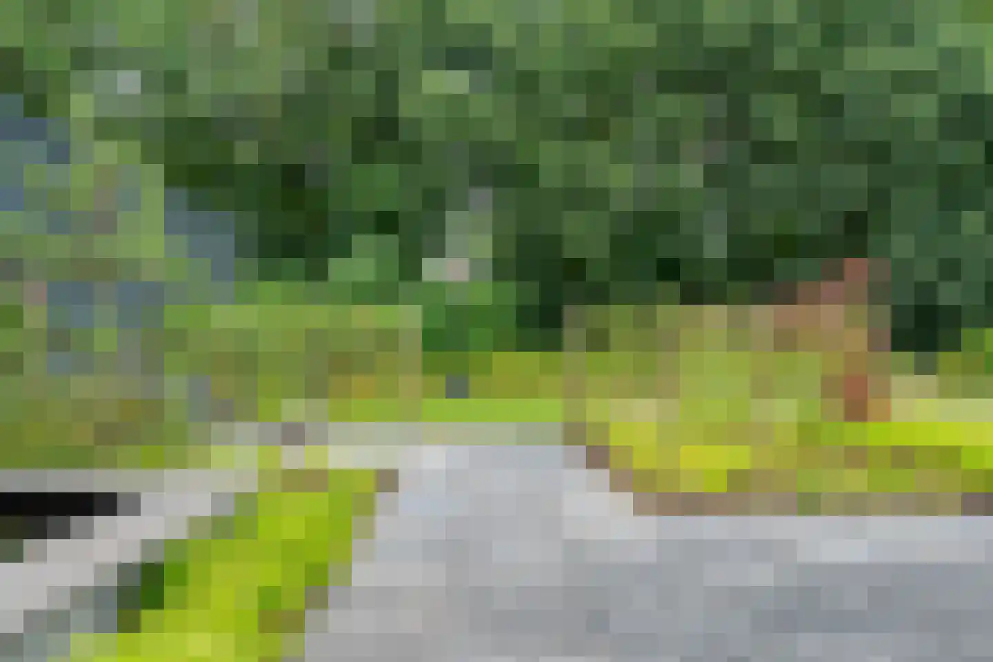 Waanderweg 156 Emmen thumbnail 62