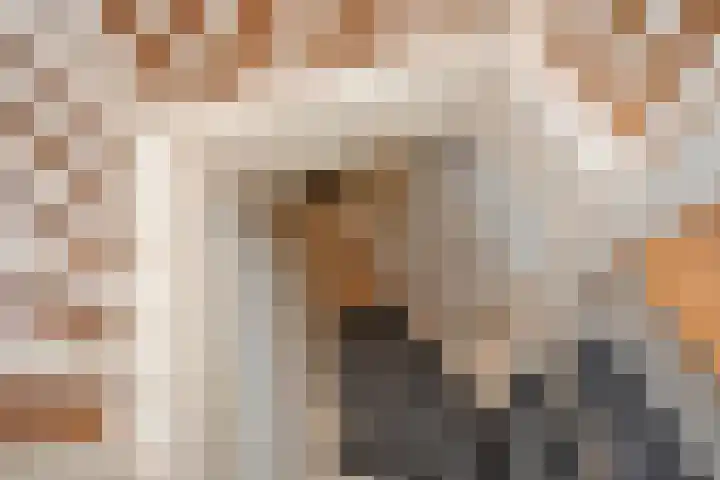 Waarbekenplein 17 Hengelo thumbnail 28