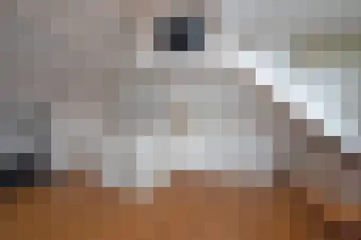 Waarbekenplein 17 Hengelo thumbnail 29