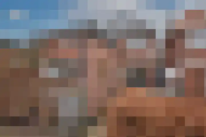 Waarbekenplein 17 Hengelo thumbnail 31