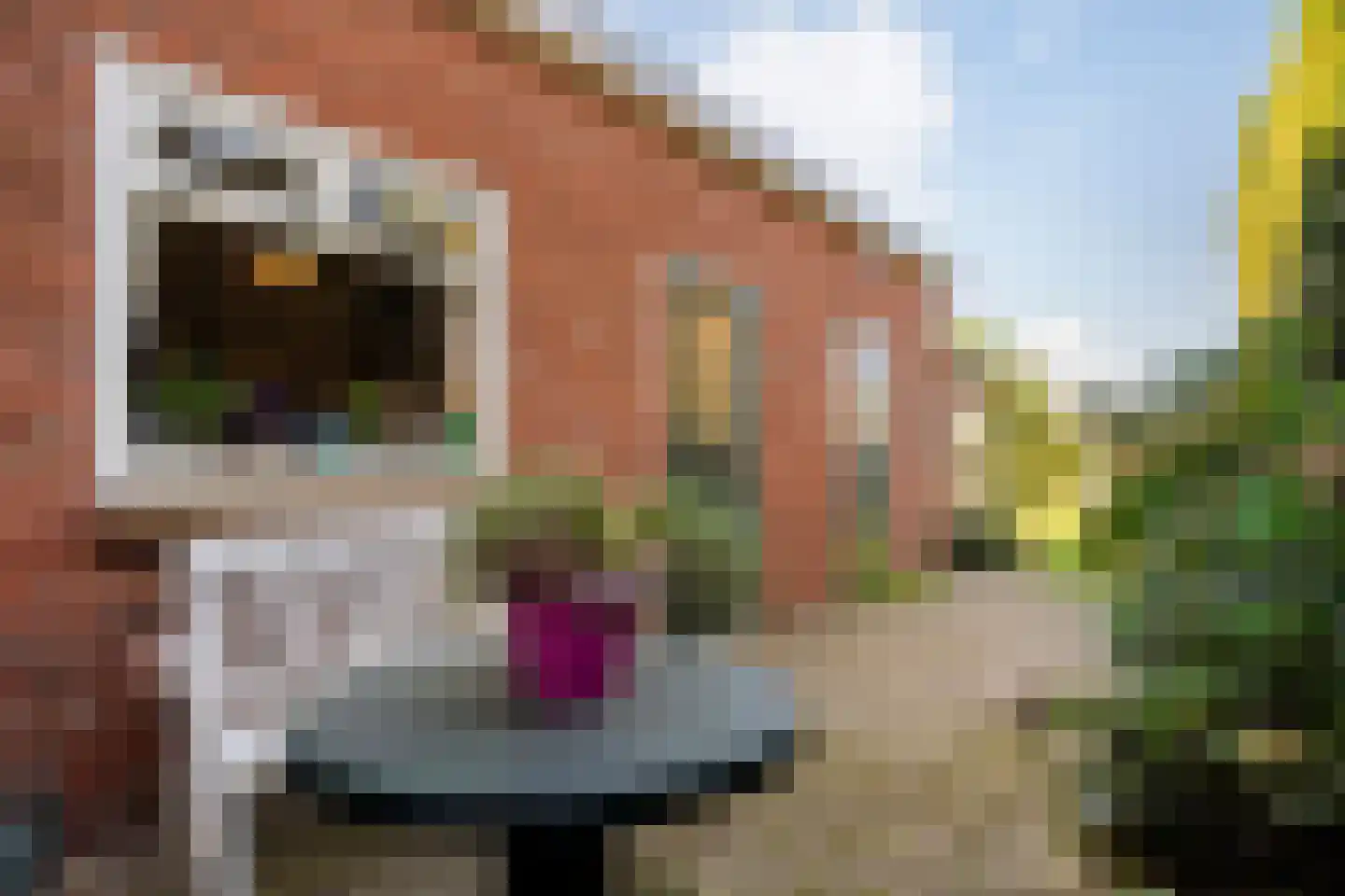 Waarbekenplein 4 Hengelo thumbnail 33