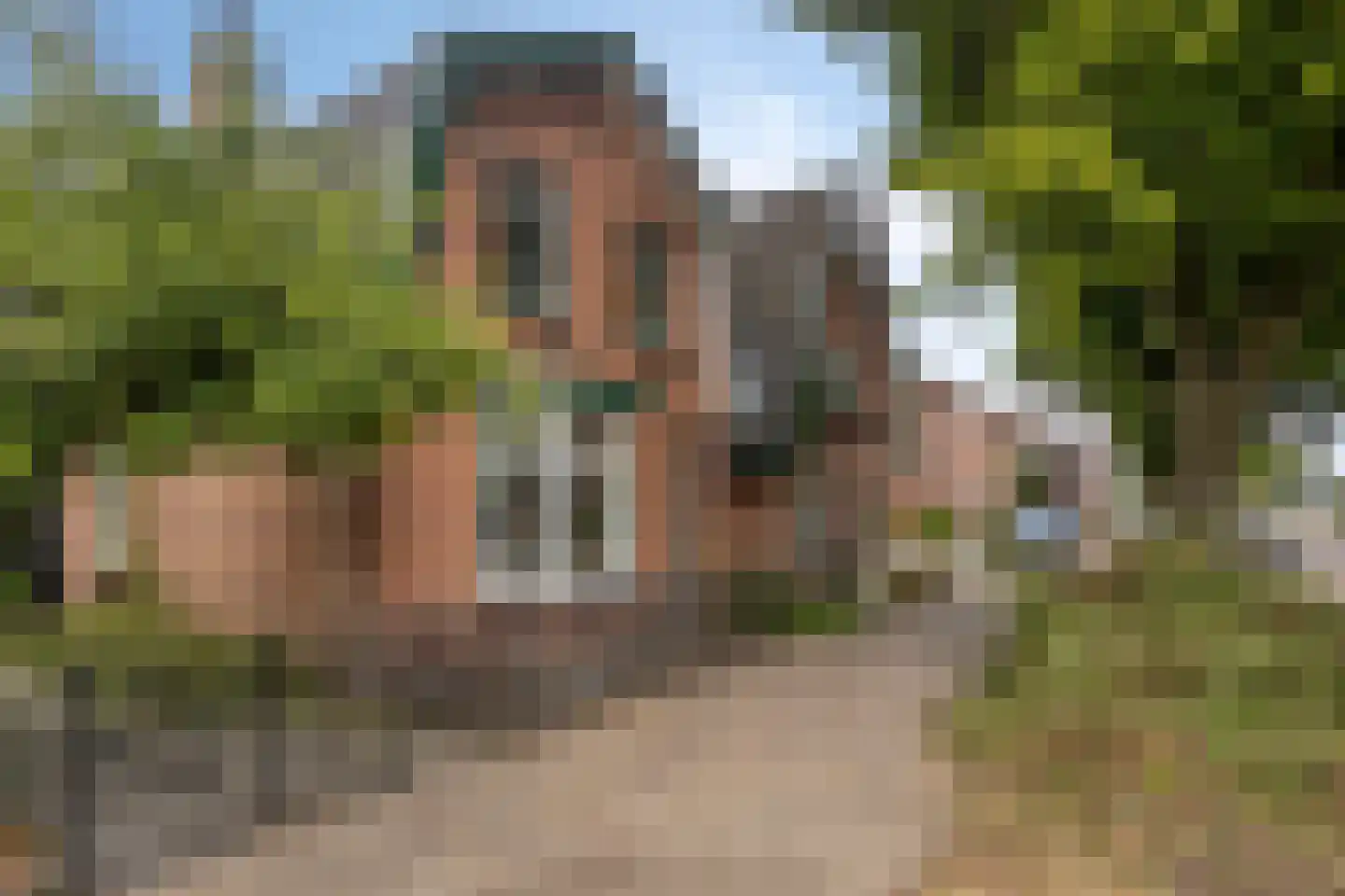 Waarbekenweg 70 Hengelo thumbnail 42