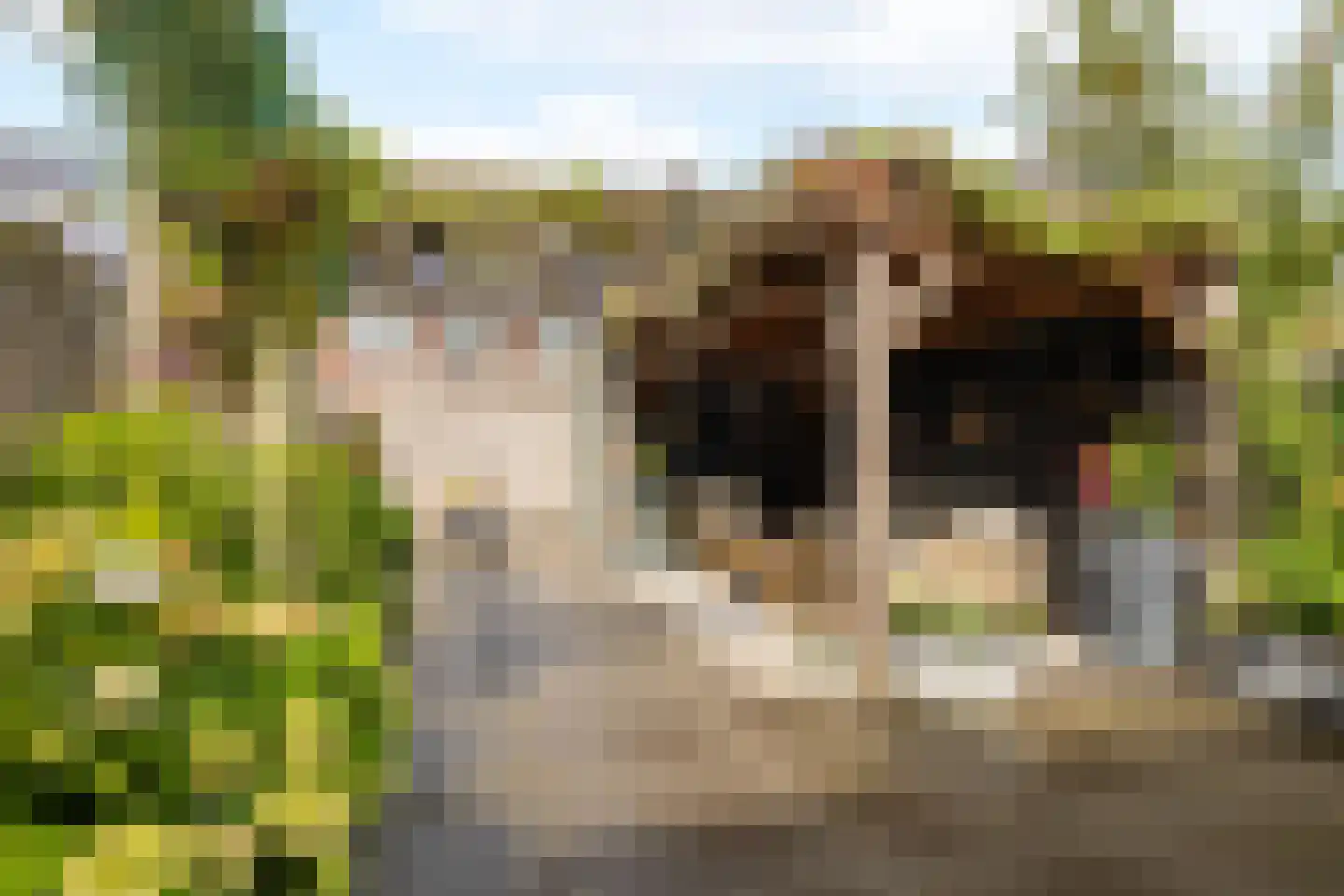 Waard 15 Kampen thumbnail 32