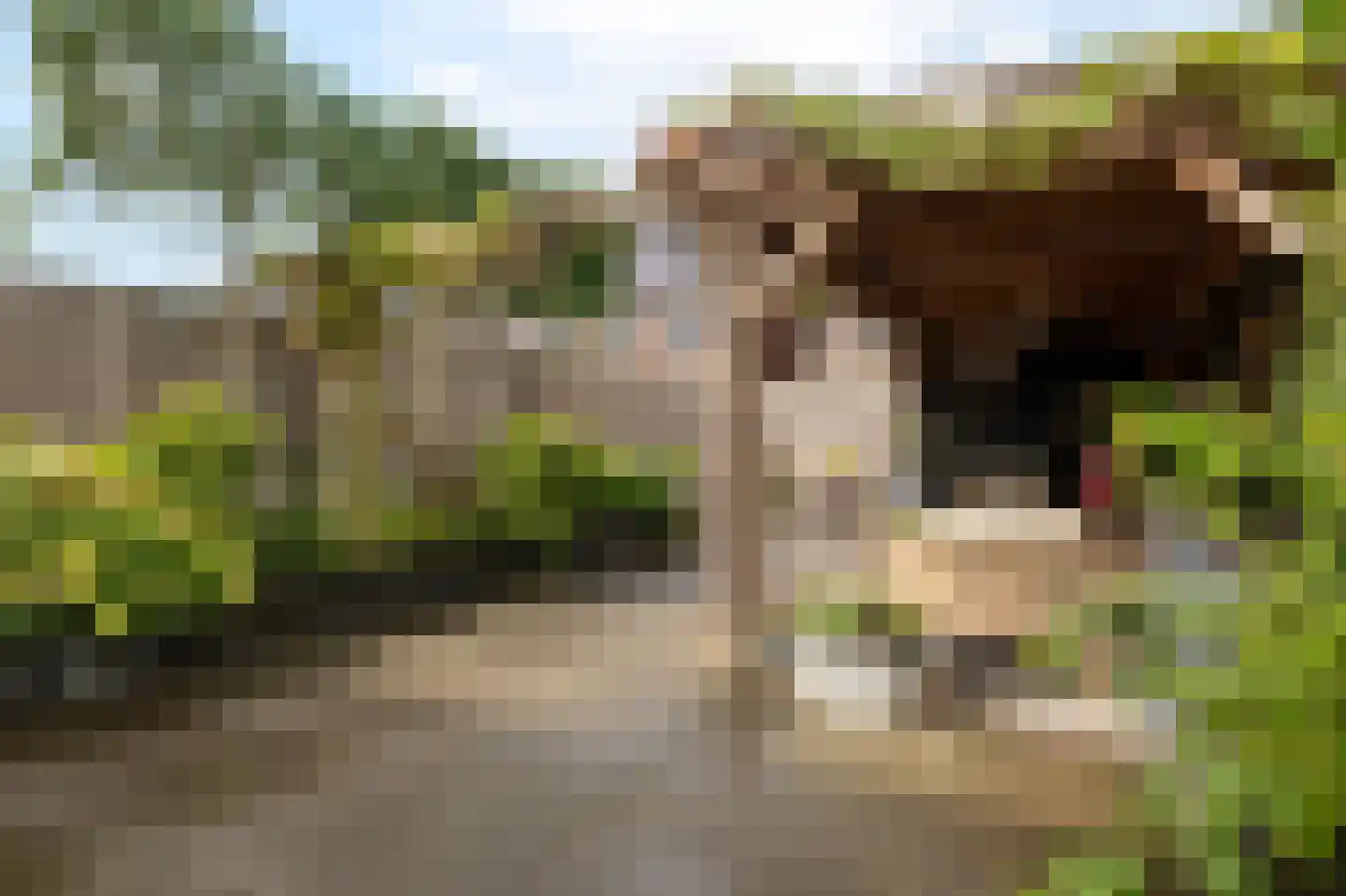 Waard 15 Kampen thumbnail 33