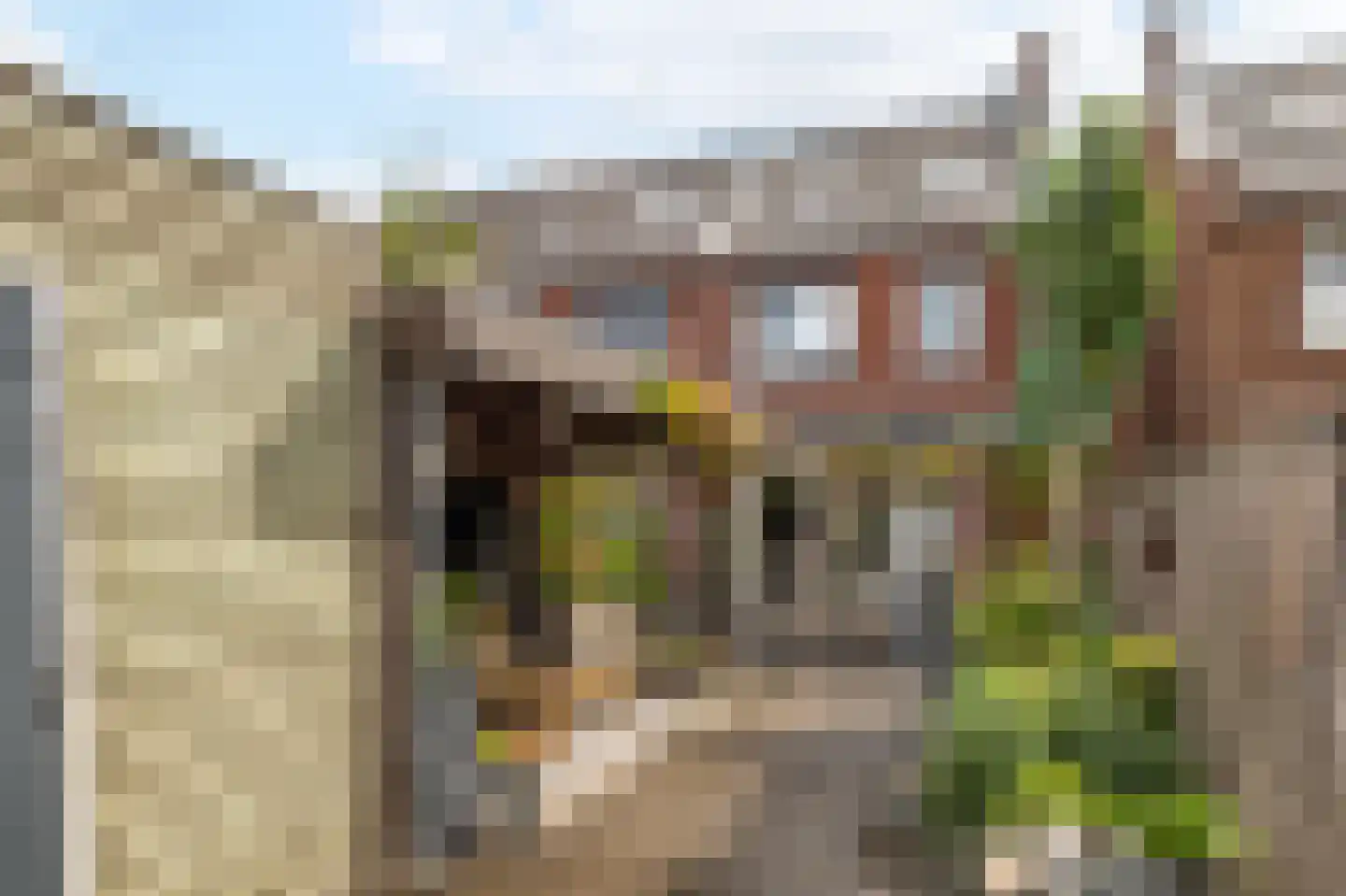 Waard 15 Kampen thumbnail 35