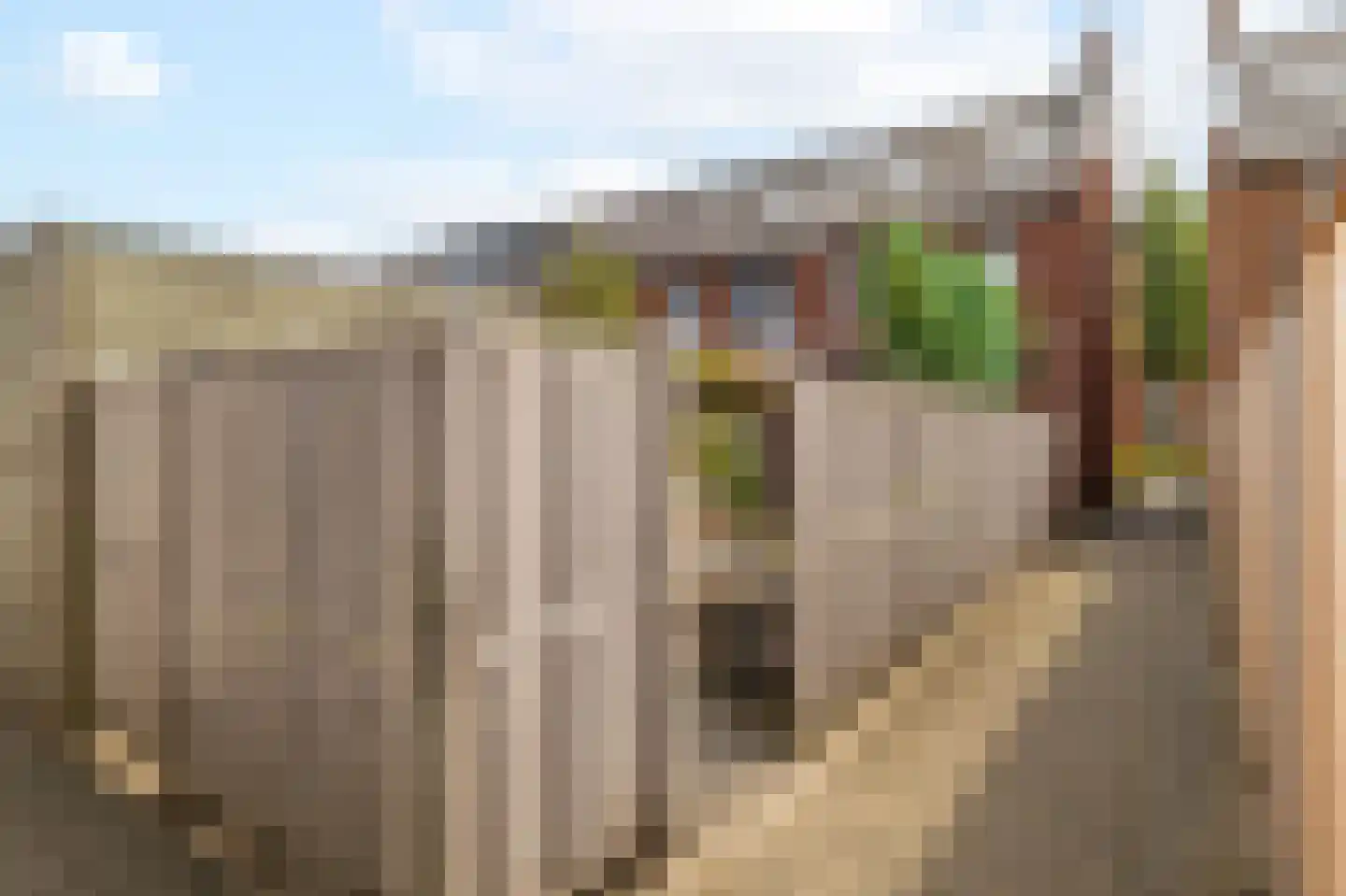 Waard 15 Kampen thumbnail 38