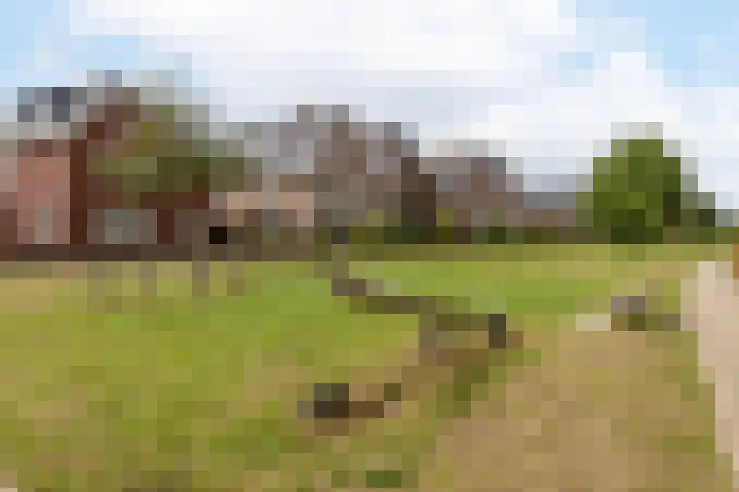 Waard 15 Kampen thumbnail 40