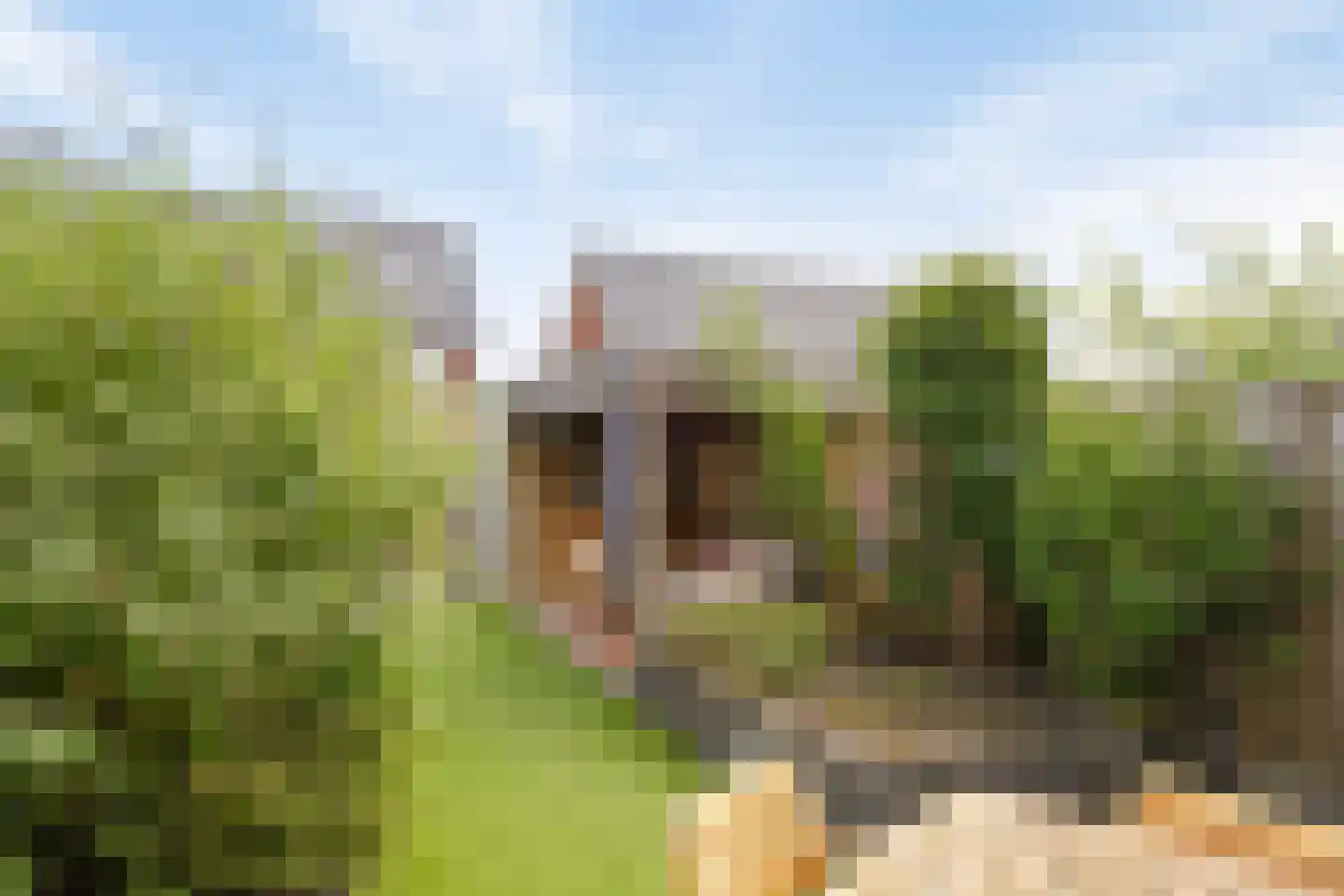 Waard 16 Kampen thumbnail 35
