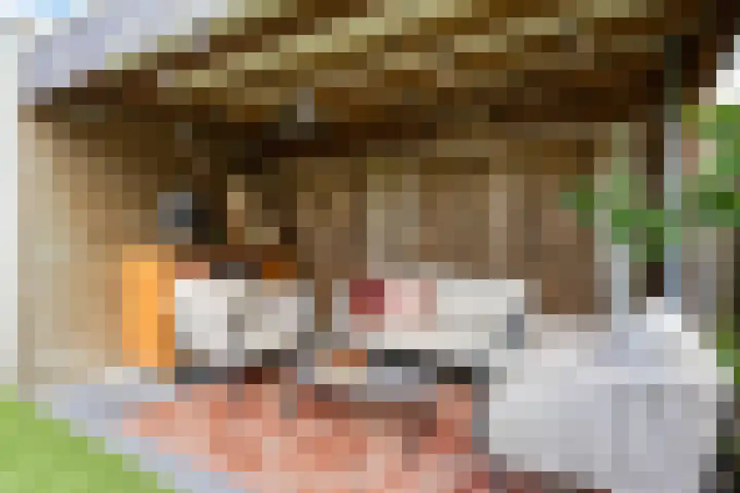 Waard 16 Kampen thumbnail 39
