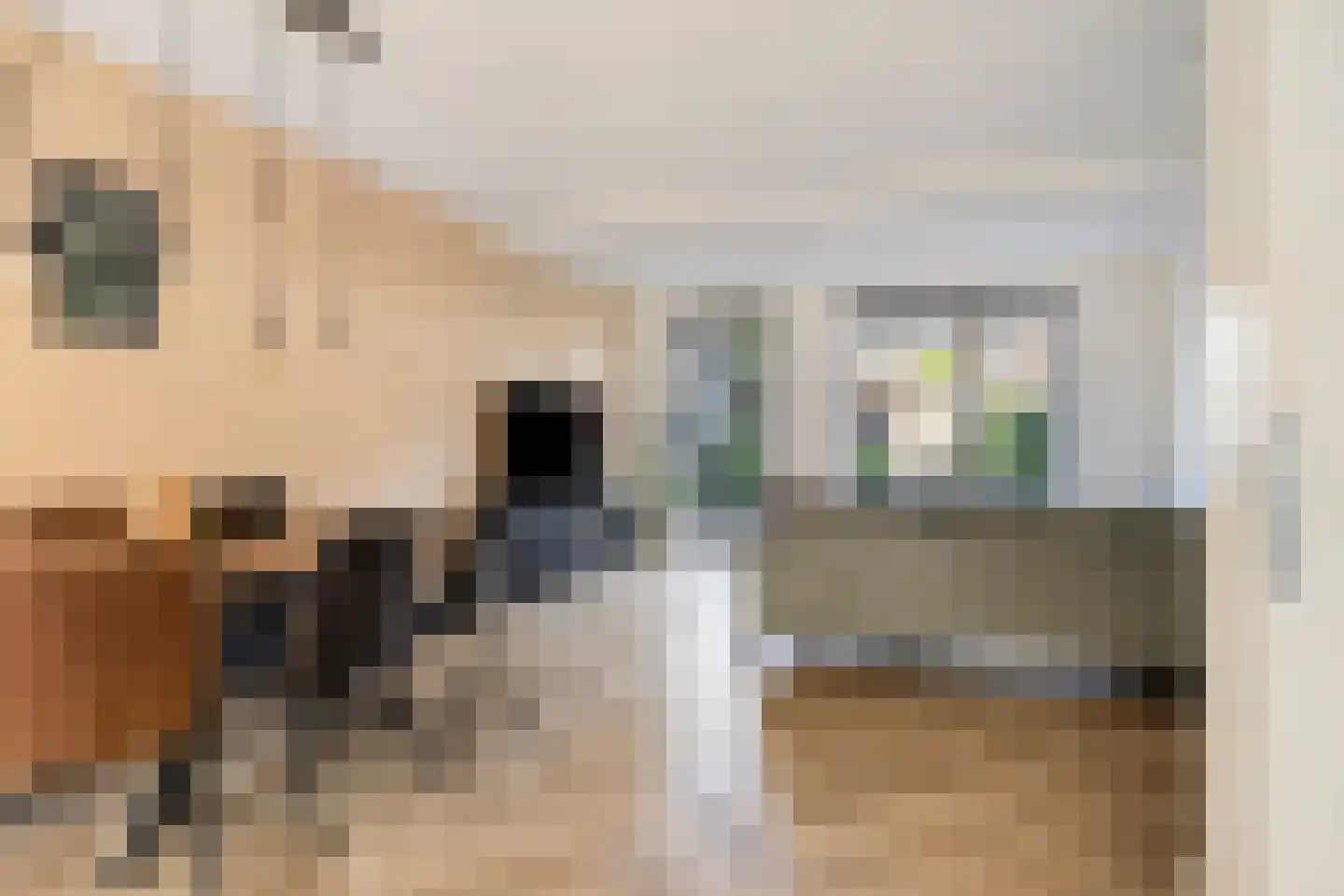 Waard 17 Kampen thumbnail 12
