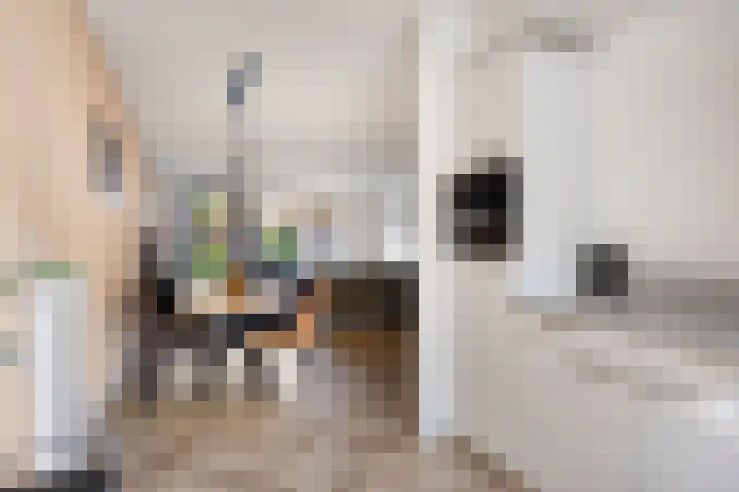 Waard 17 Kampen thumbnail 18