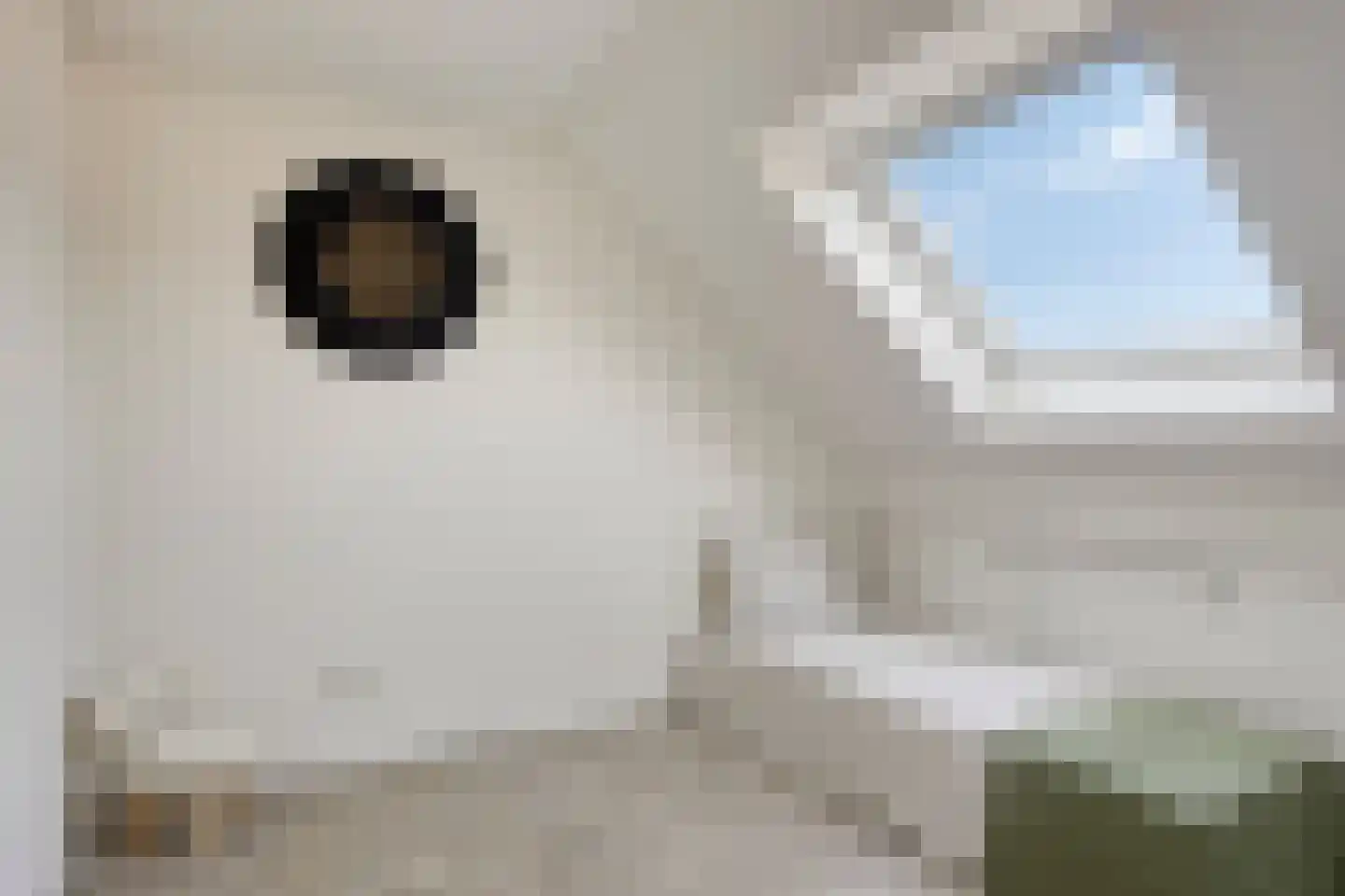 Waard 17 Kampen thumbnail 32