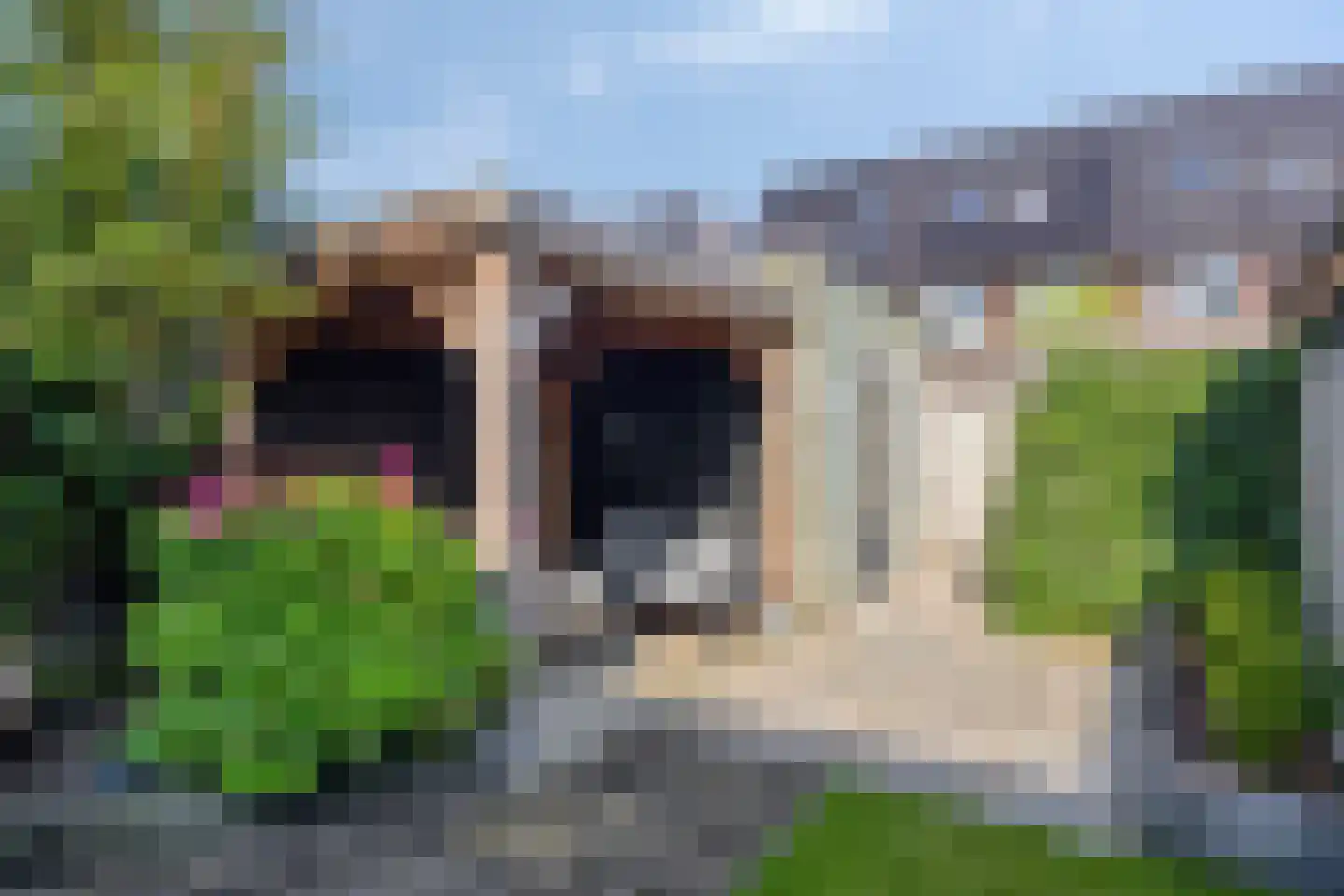 Waard 17 Kampen thumbnail 34