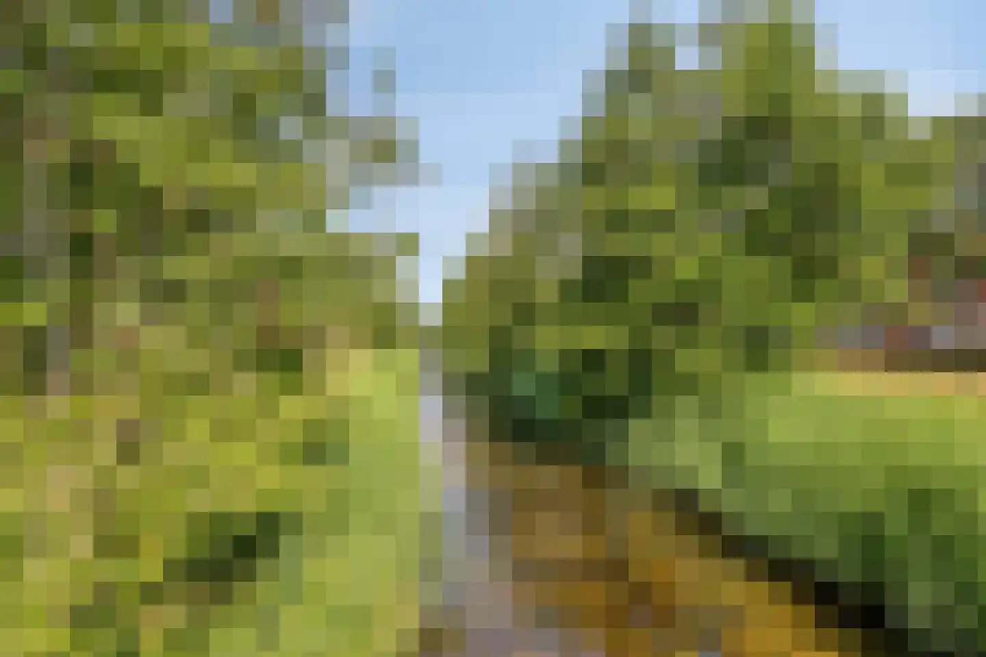 Waard 17 Kampen thumbnail 41