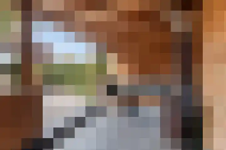 Waard 24 Kampen thumbnail 23