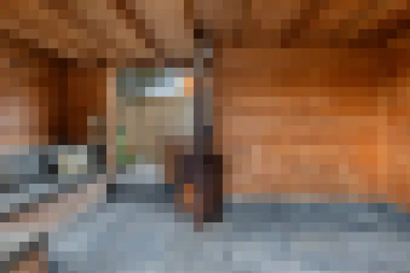 Waard 24 Kampen thumbnail 24