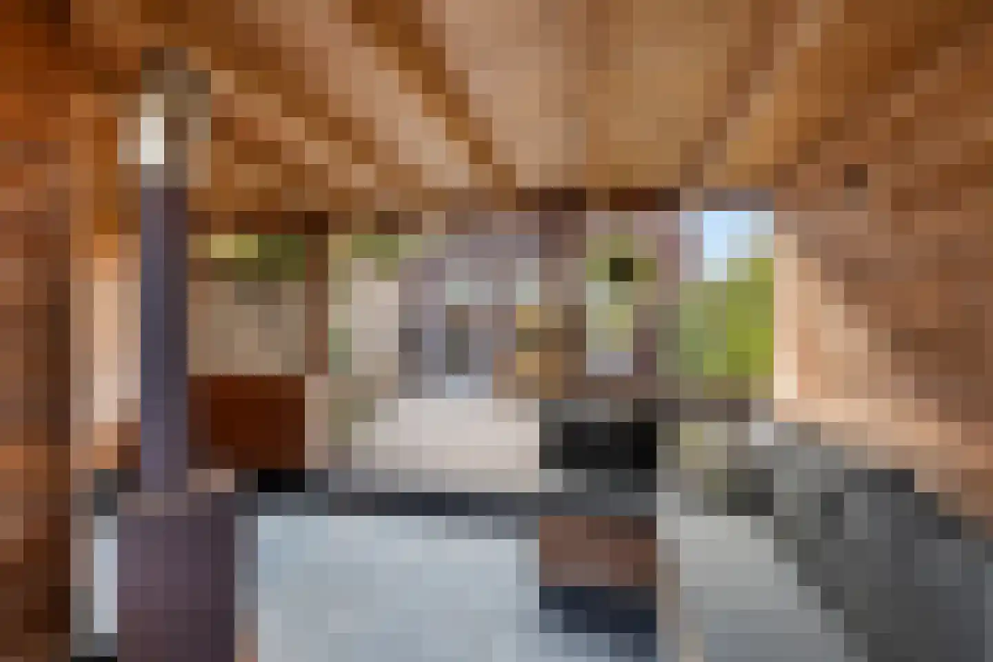 Waard 24 Kampen thumbnail 25