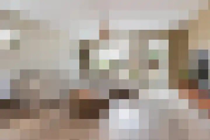 Waard 24 Kampen thumbnail 4