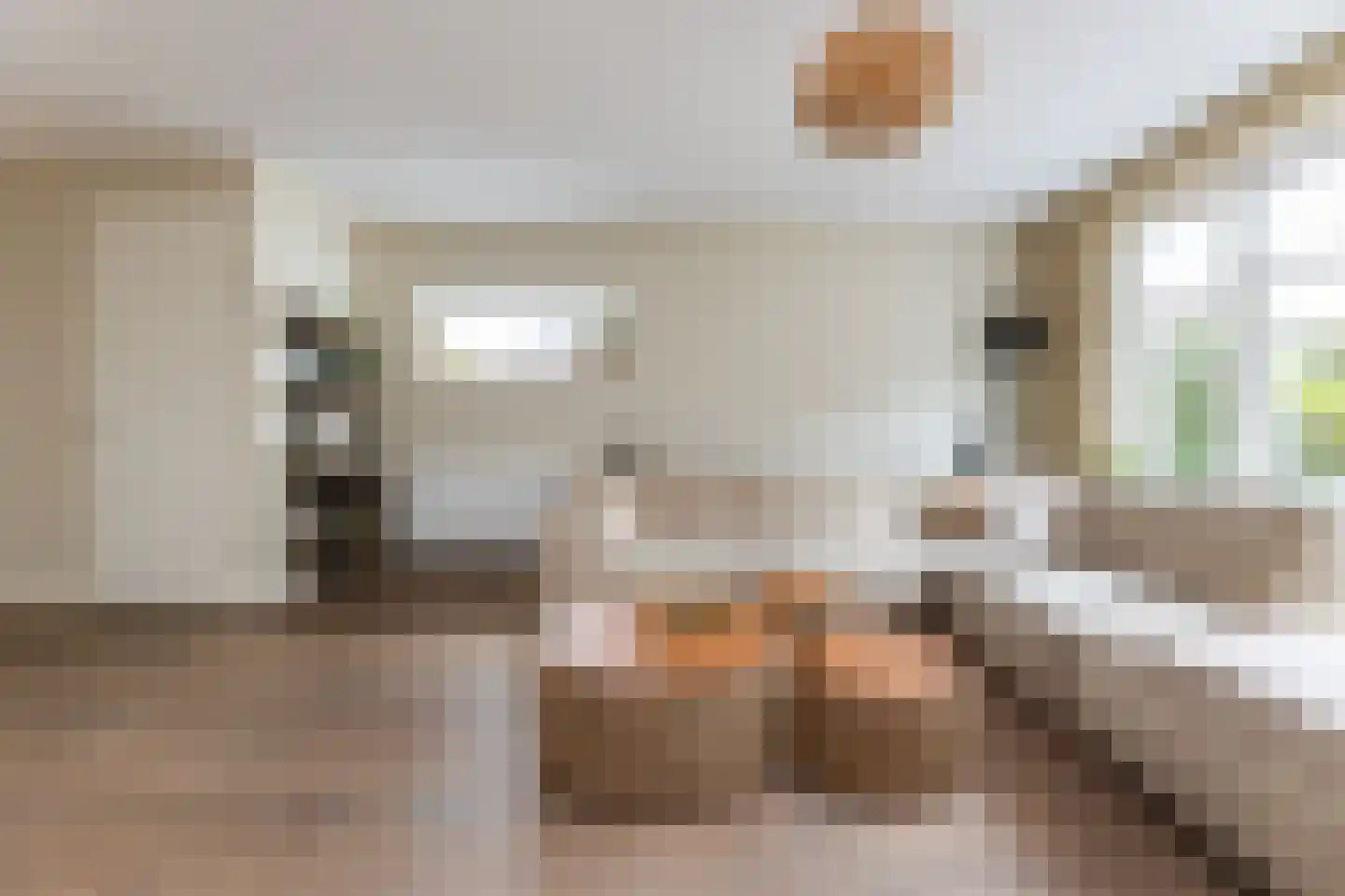 Waard 24 Kampen thumbnail 5