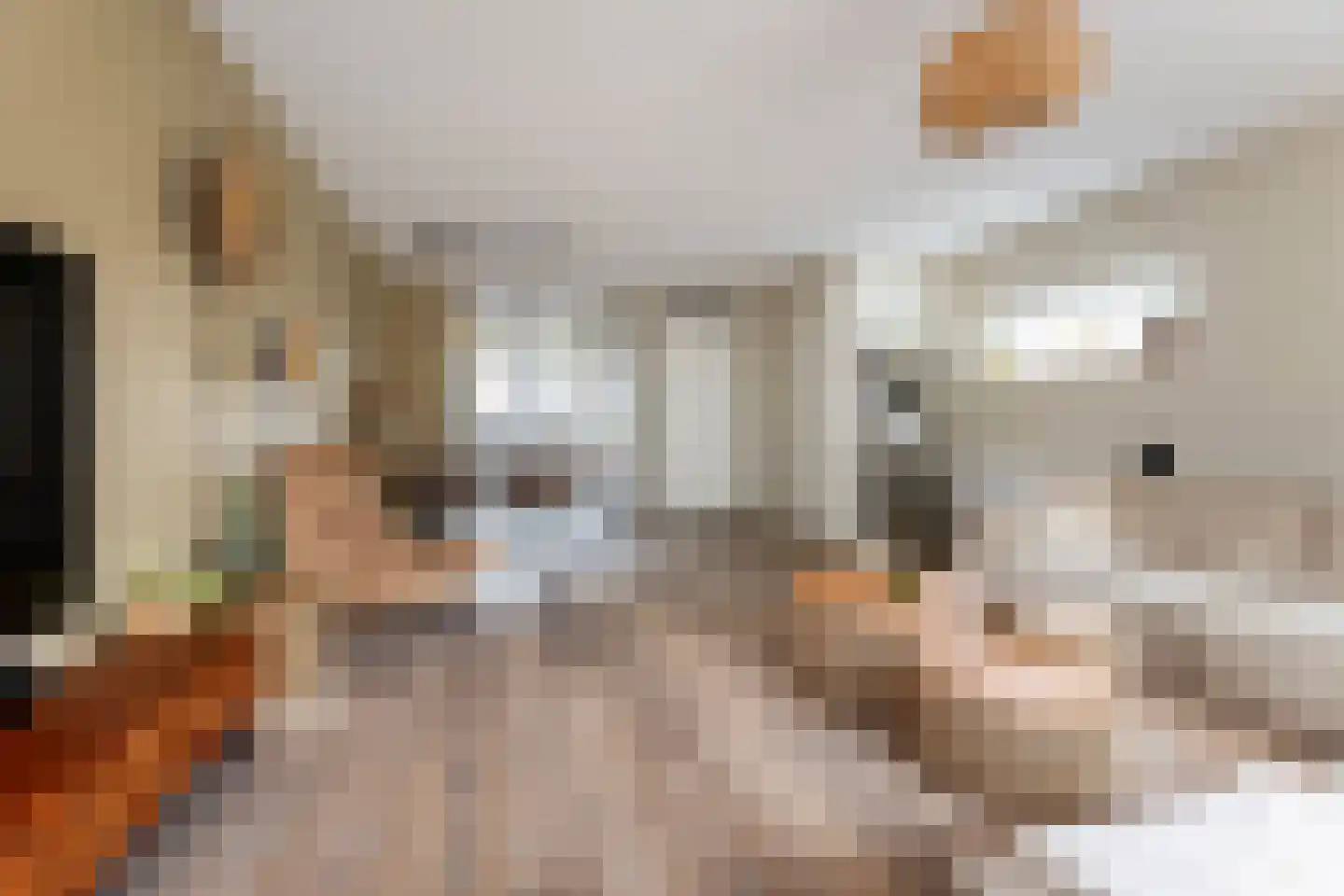 Waard 24 Kampen thumbnail 6
