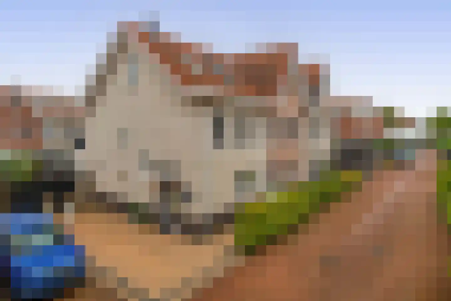 Waard 5 in Pijnacker