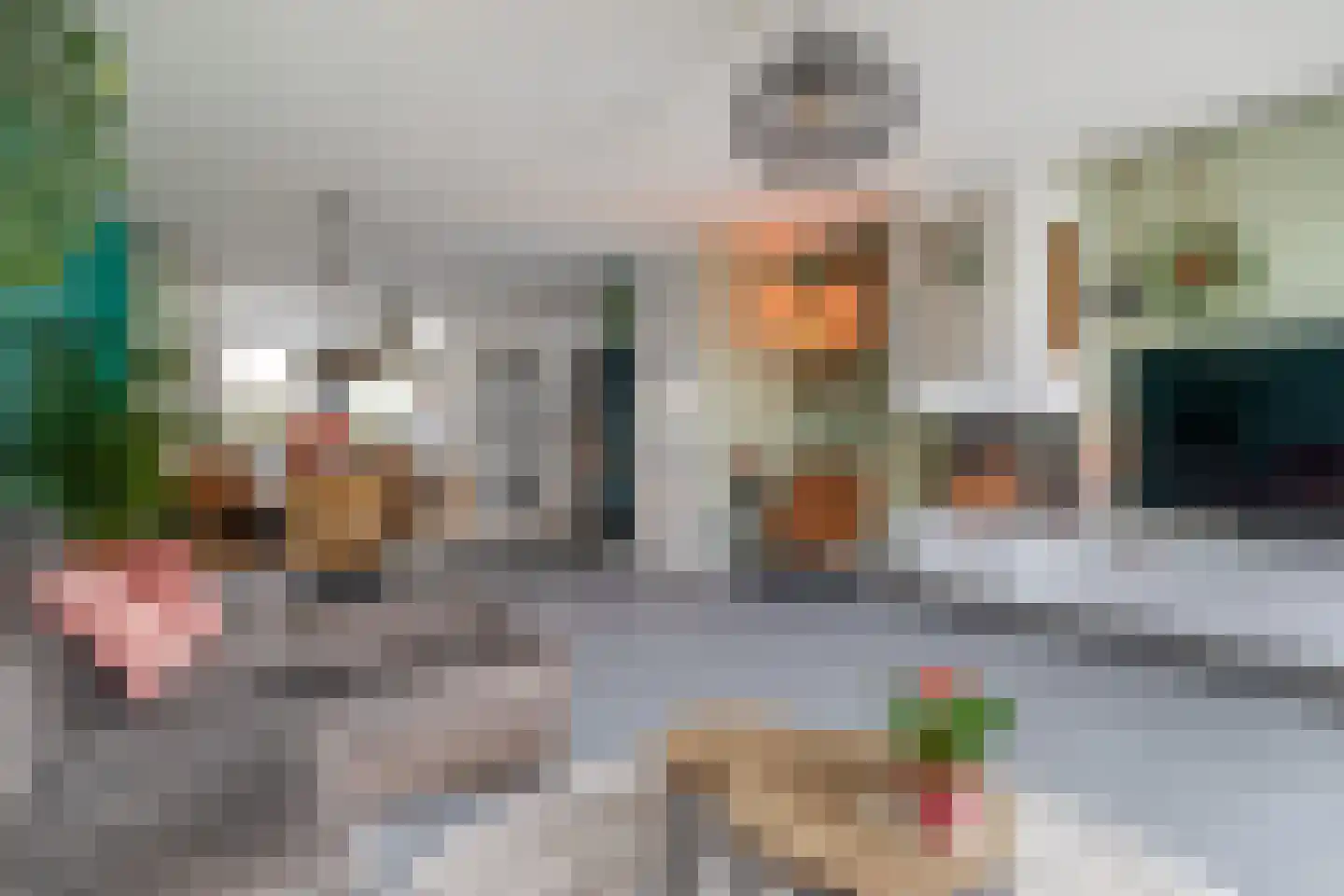 Waard 5 Pijnacker thumbnail 11