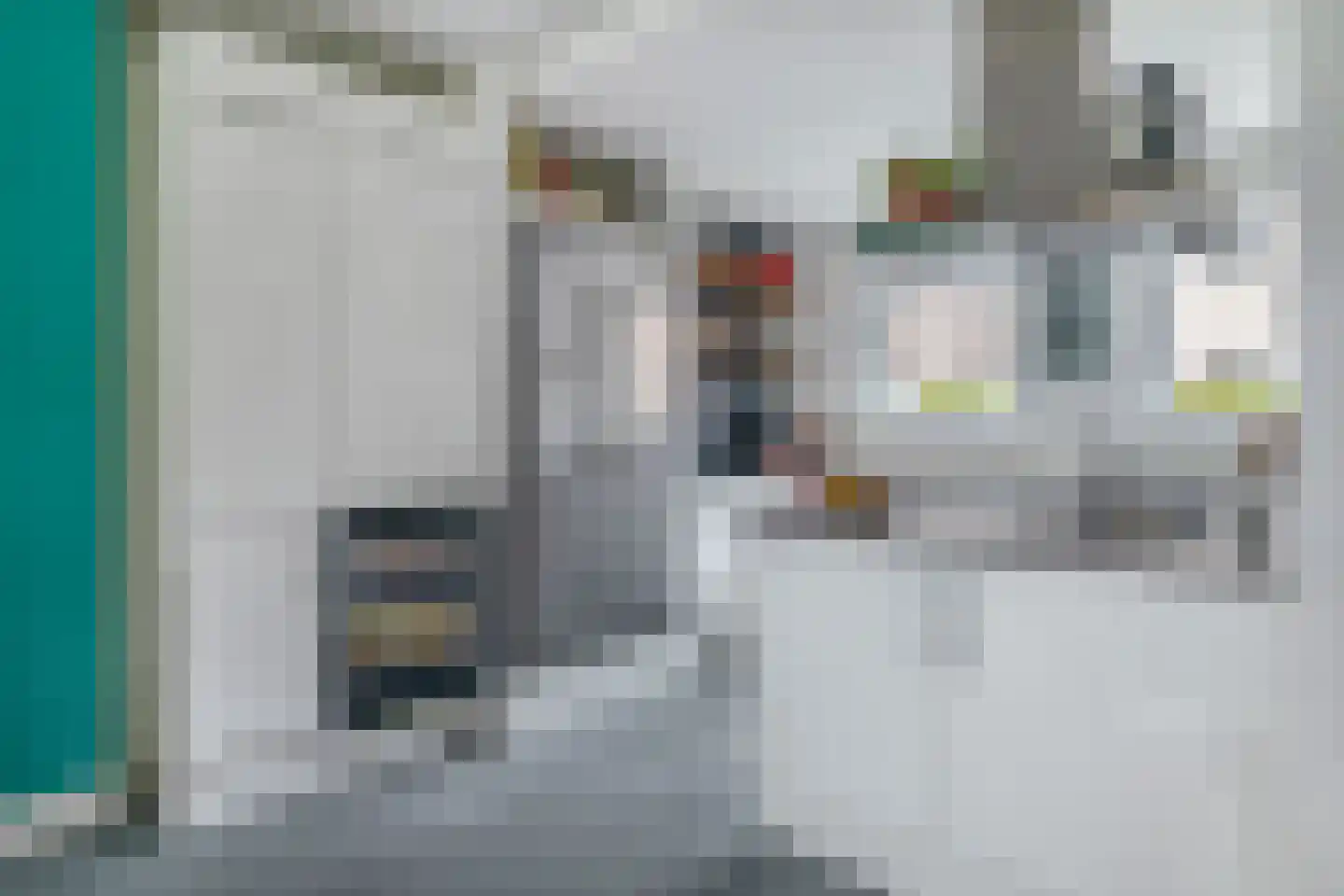 Waard 5 Pijnacker thumbnail 16