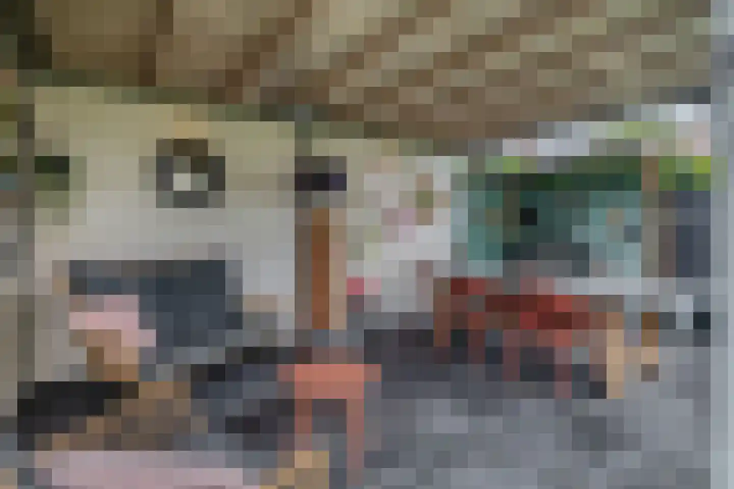 Waard 5 Pijnacker thumbnail 23