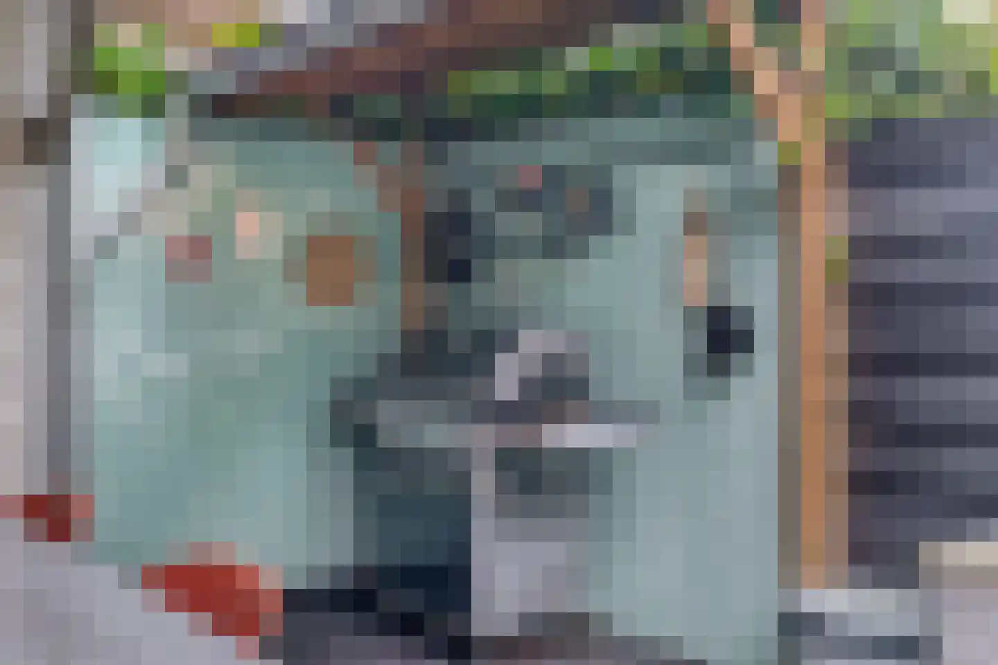 Waard 5 Pijnacker thumbnail 24