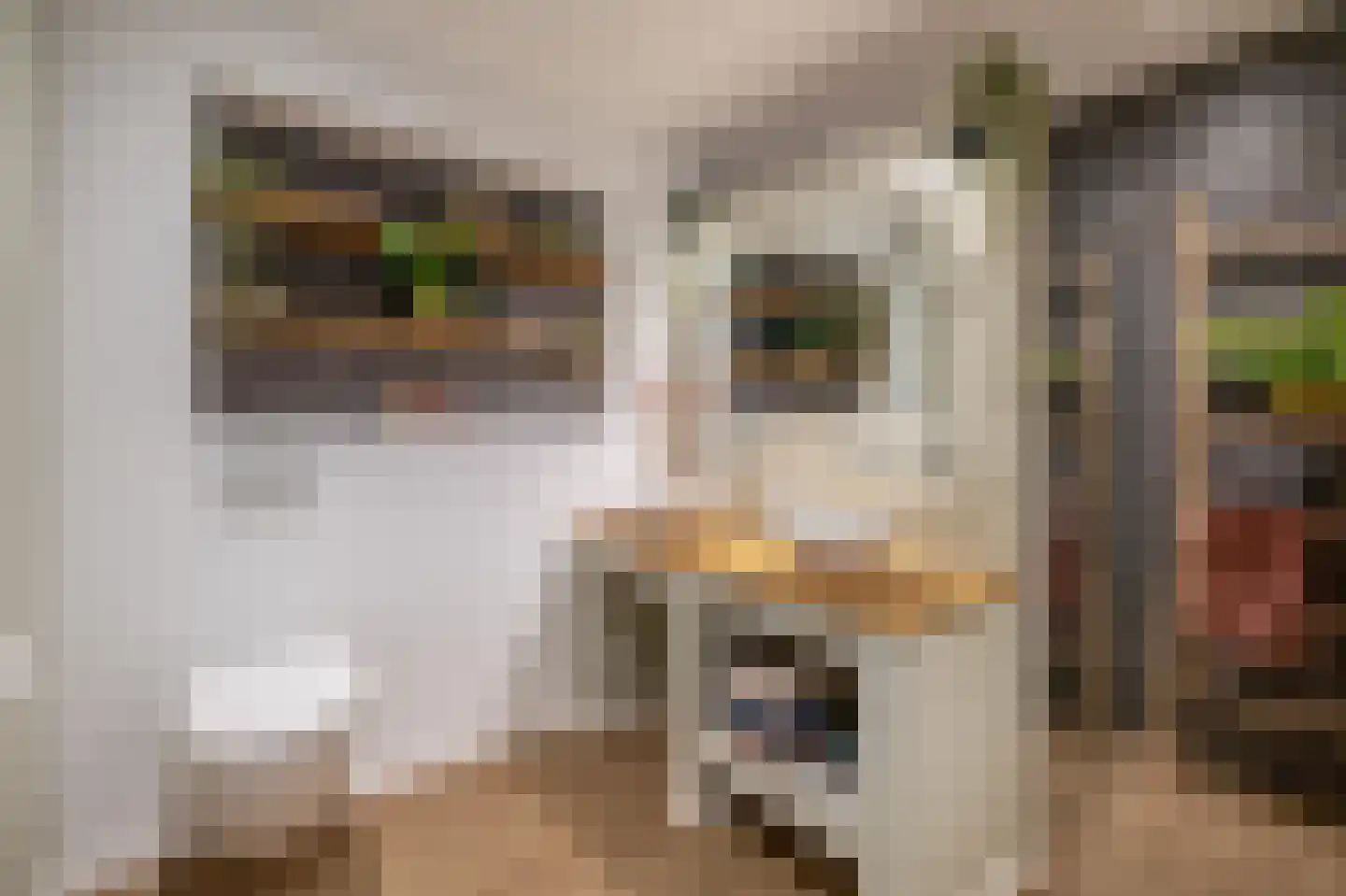 Waard 5 Pijnacker thumbnail 32