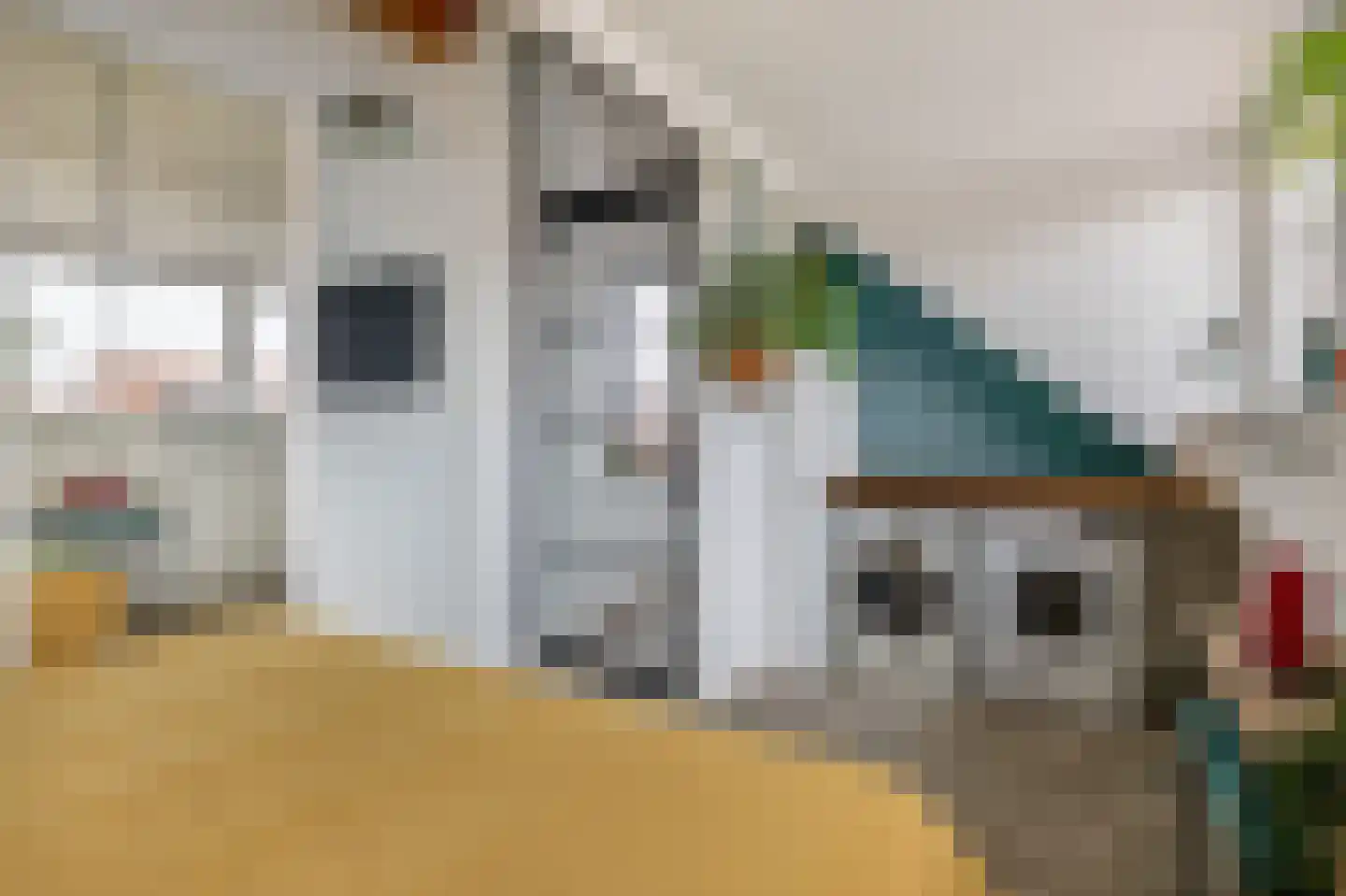 Waard 5 Pijnacker thumbnail 37