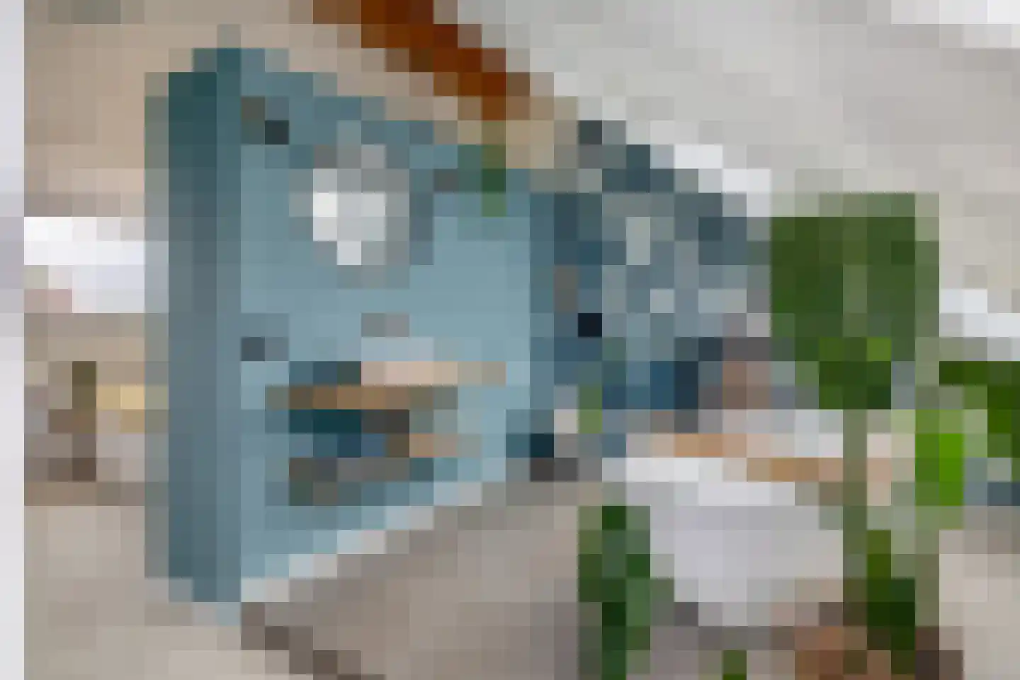 Waard 5 Pijnacker thumbnail 39