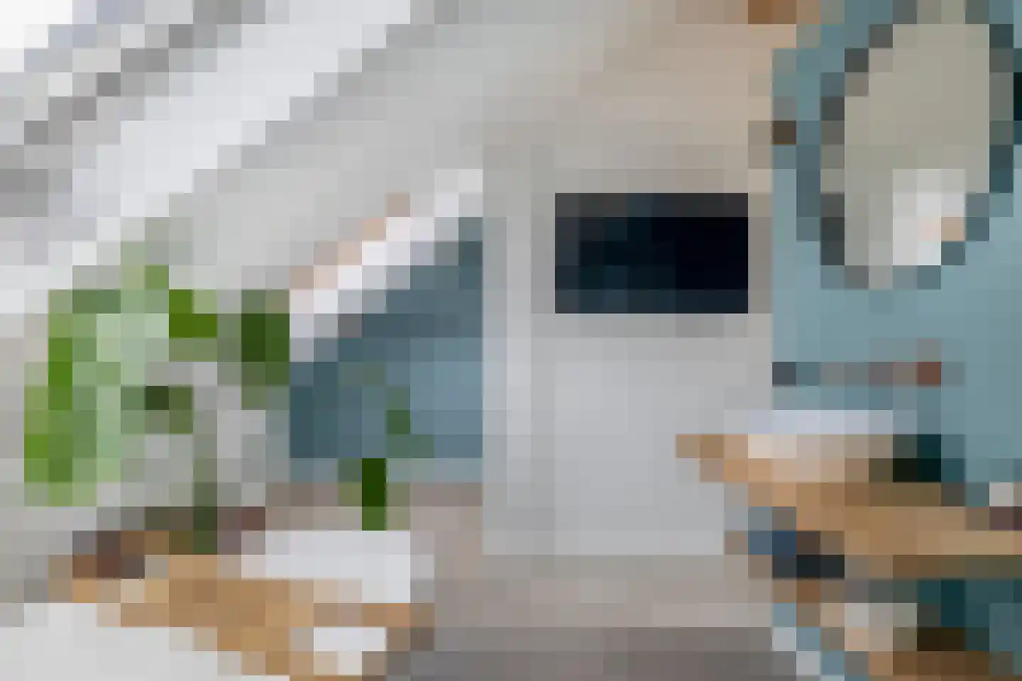 Waard 5 Pijnacker thumbnail 41