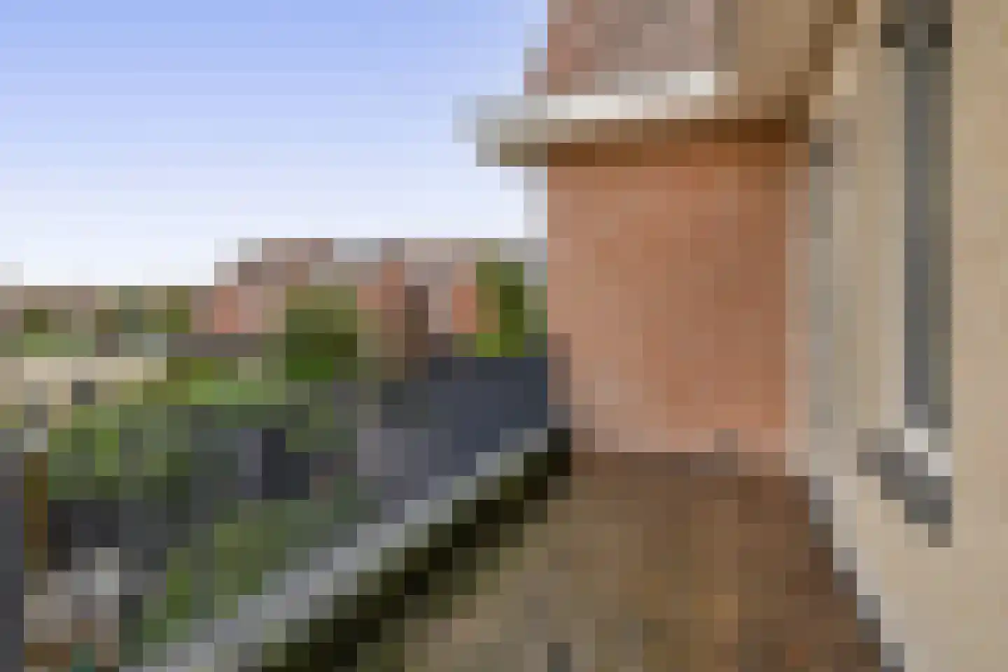 Waard 5 Pijnacker thumbnail 44