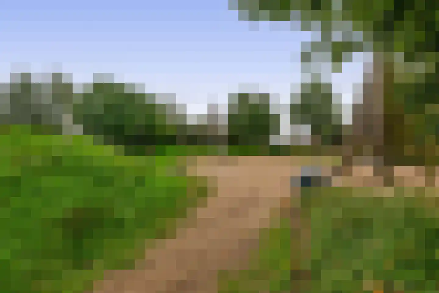 Waard 5 Pijnacker thumbnail 50