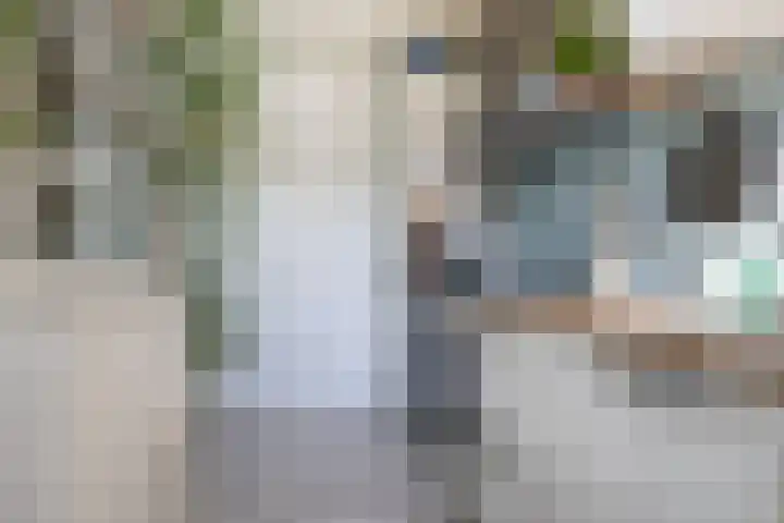 Waardakker 15 Breda thumbnail 11