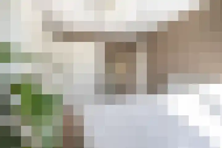 Waardakker 15 Breda thumbnail 17