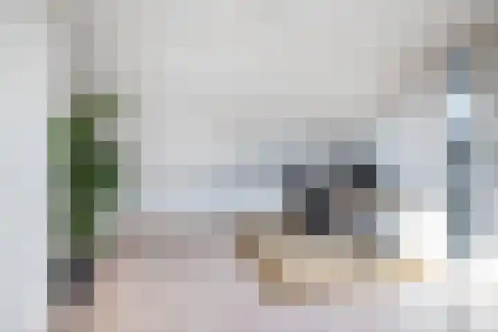 Waardakker 15 Breda thumbnail 25