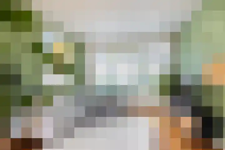Waardakker 15 Breda thumbnail 6