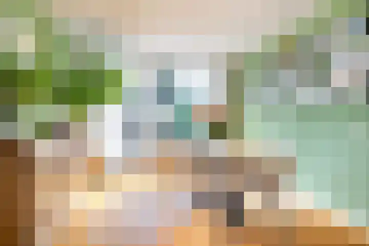 Waardakker 15 Breda thumbnail 8