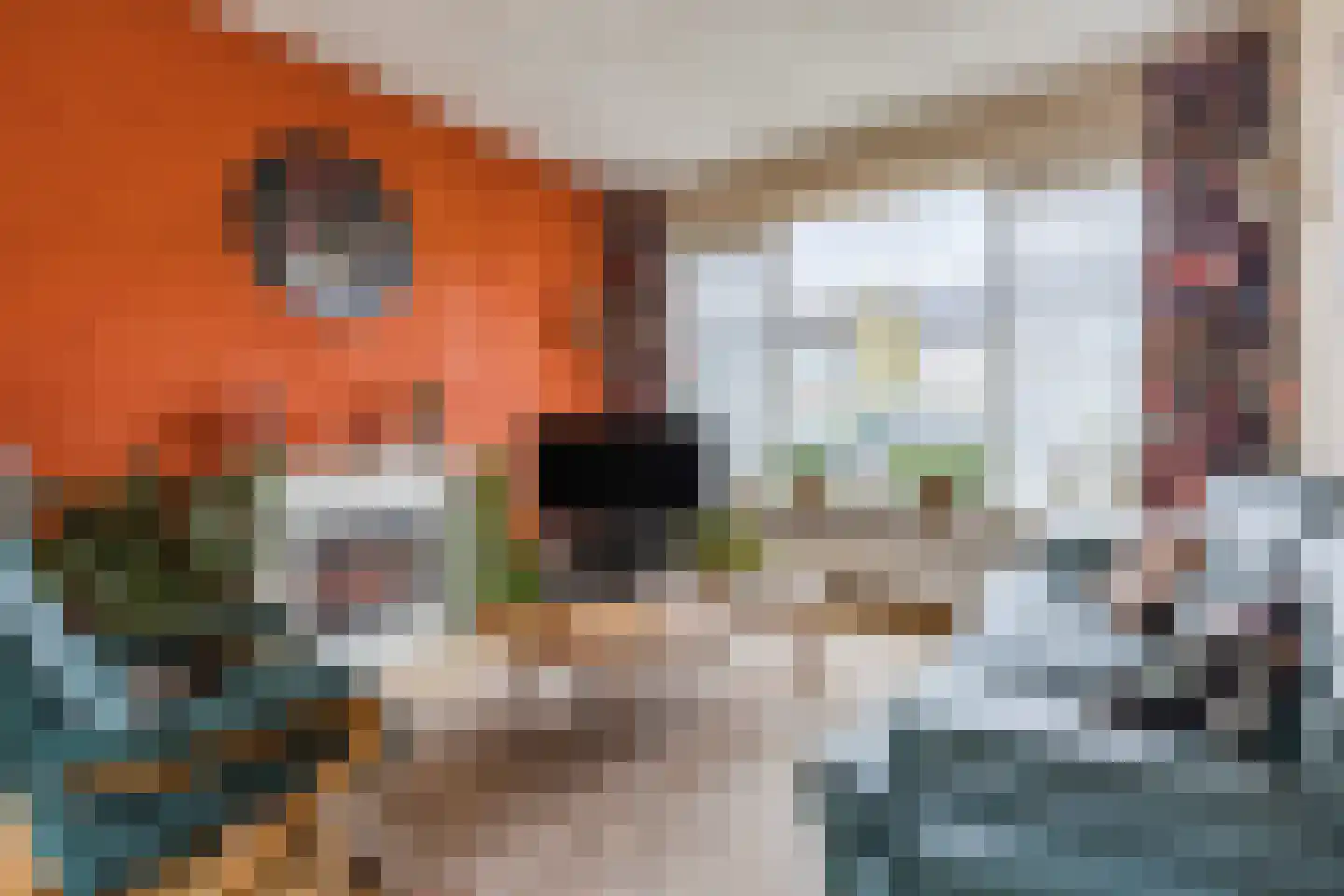Waardakker 16 Breda thumbnail 5