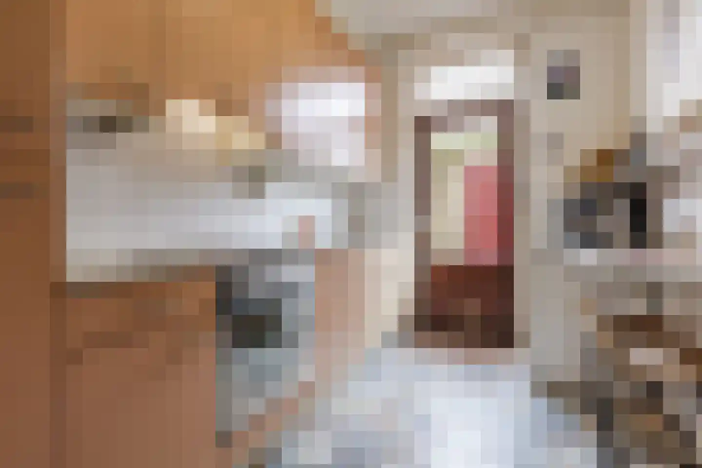 Waardakker 16 Breda thumbnail 8