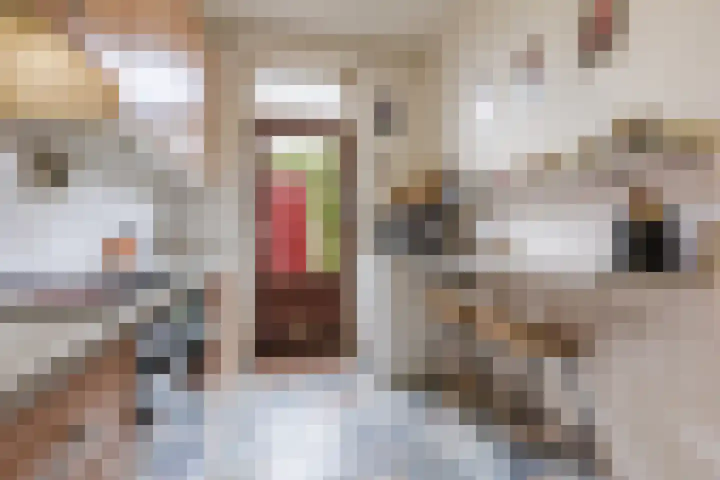 Waardakker 16 Breda thumbnail 9