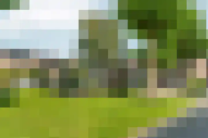 Waardassackerstraat 47 Abcoude thumbnail 4