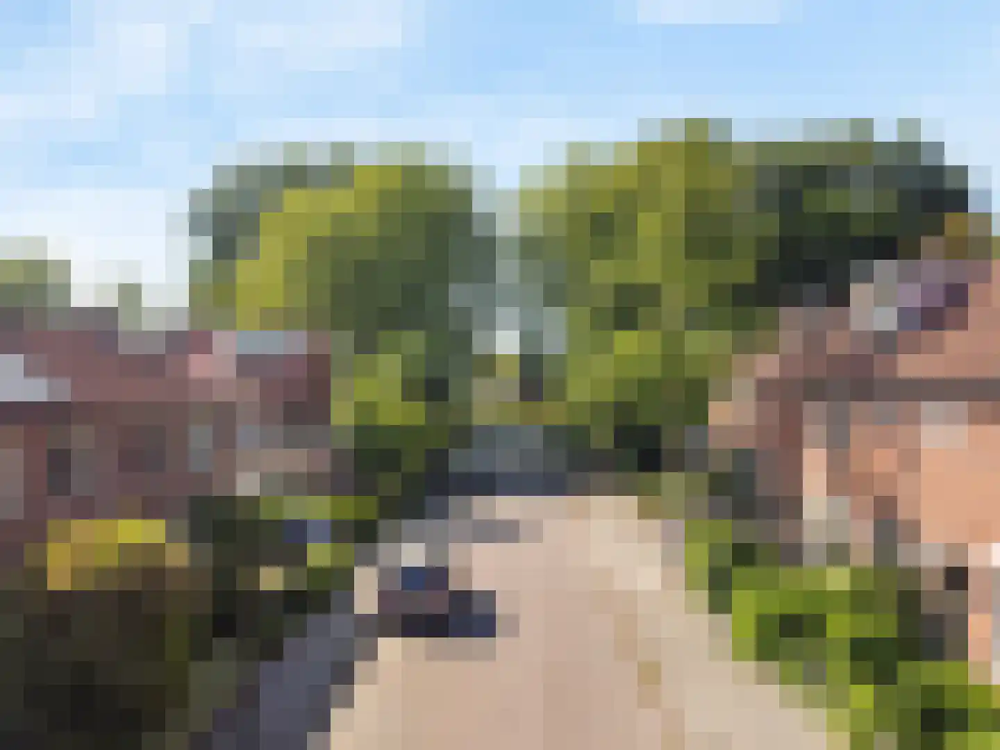 Waardassackerstraat 7 Abcoude thumbnail 34