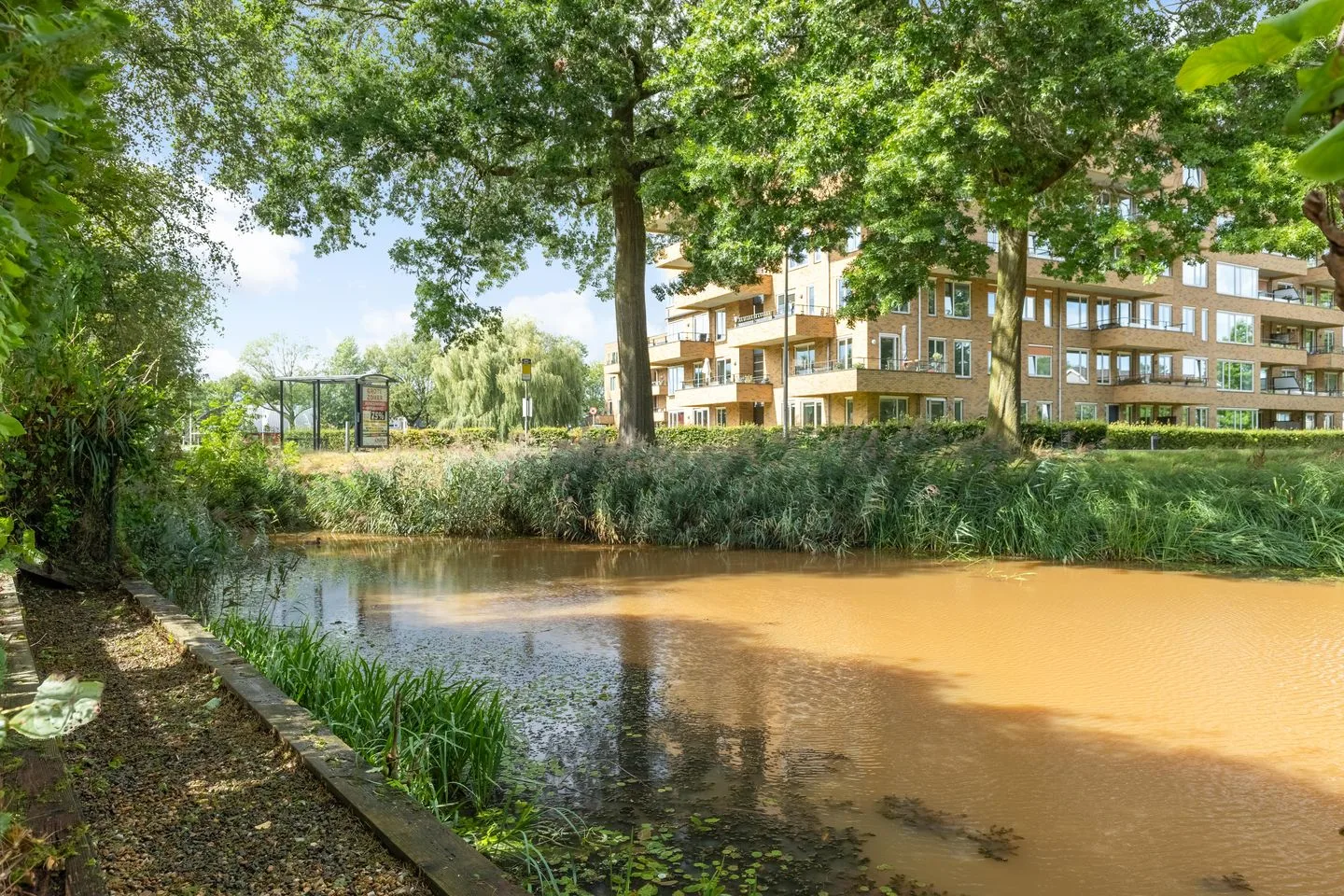 Waardeel 1 H Steenwijk thumbnail 47