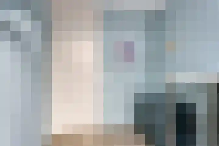 Waardeel 13 Steenwijk thumbnail 10