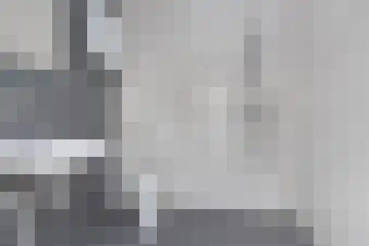 Waardeel 13 Steenwijk thumbnail 8