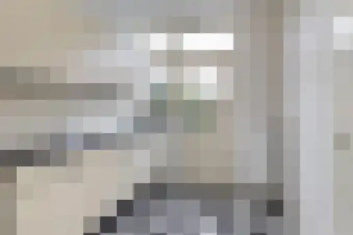 Waardeel 13 Steenwijk thumbnail 9